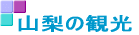 �R���̊ό�
