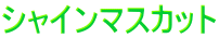 �V���C���}�X�J�b�g
