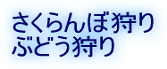 �������ڎ�� �Ԃǂ���� 