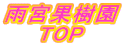 J{ʎ TOP