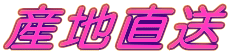 Yn 