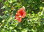 _RgbLO@̂PQ
