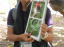 _RgbLO@̂Q