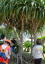 _RgbLO@̂S