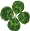RQV