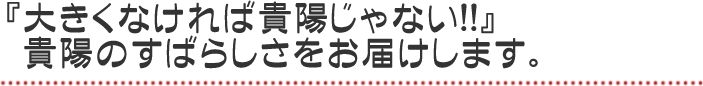 大きくなければ貴陽じゃない