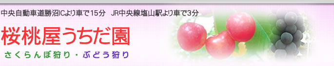 中央自動車道インターから近いくJR中央本線塩山駅からも近いさくらんぼ狩り　桜桃屋うちだ園
