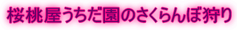 ̂ڎ 